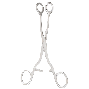 Collin tongue holding forceps, 16 cm (Delivery within 10 days)